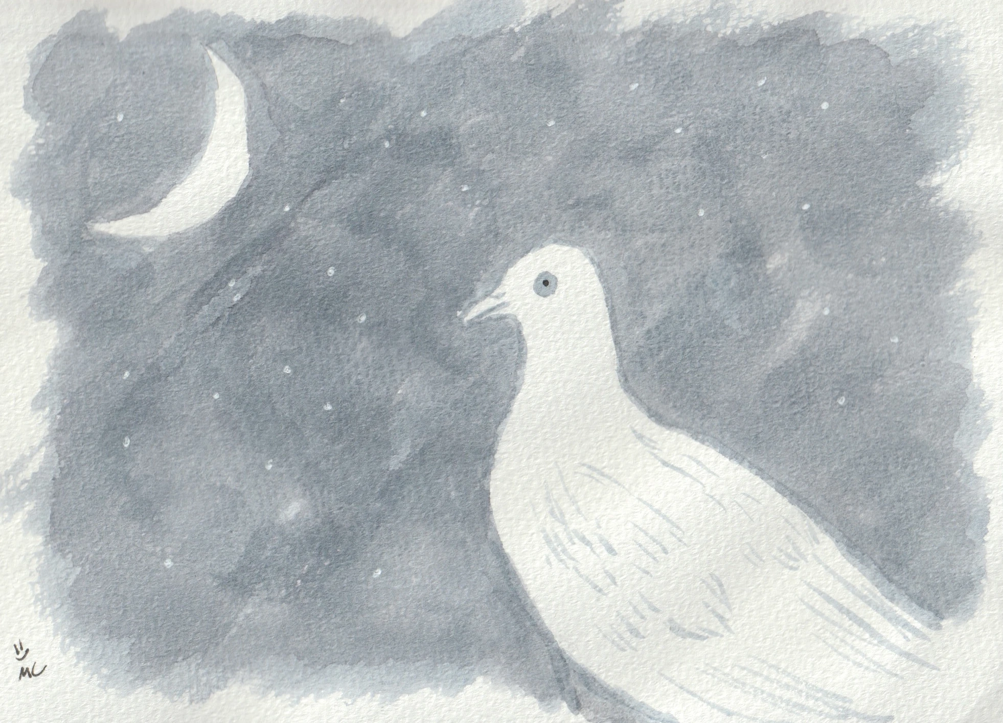 Day 0: Pigeon Knight