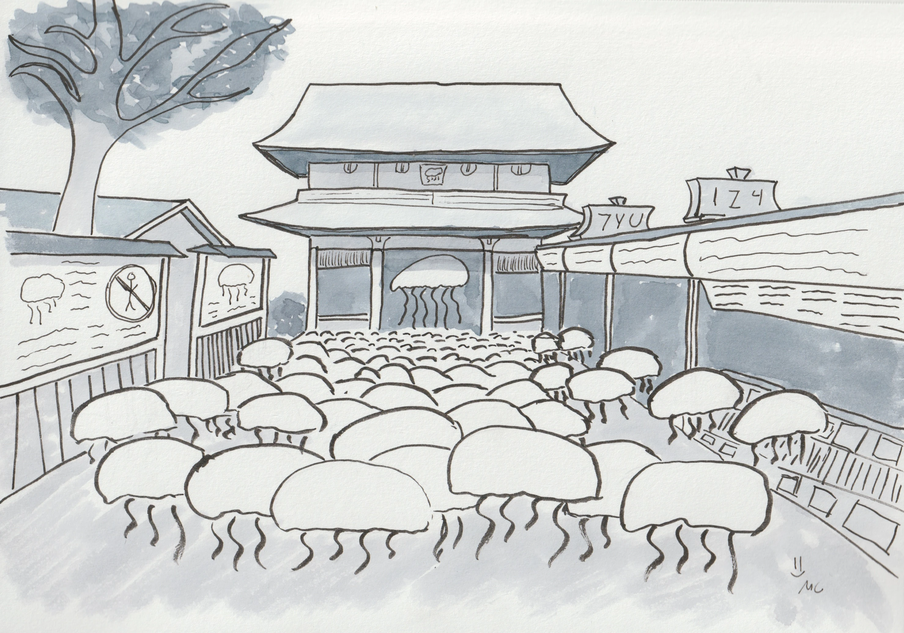 Day 9: Jellyfish Festival