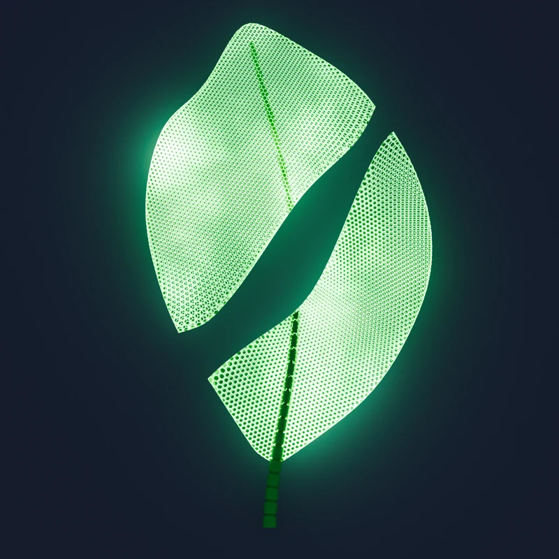 Torn Leaf